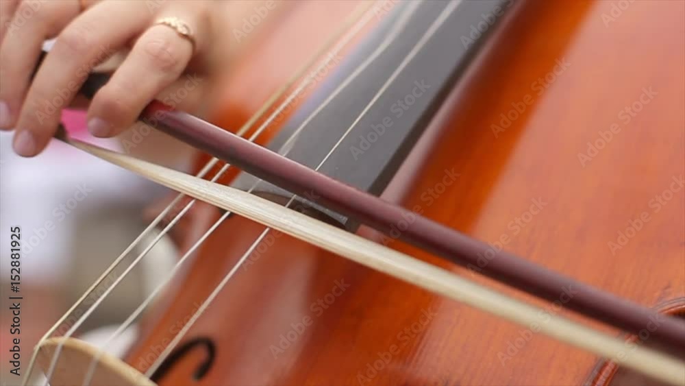 Lady's hand playing the cello at the wedding. Close-up macro shot. Lady's hand playing the cello at the wedding. Close-up macro shot.