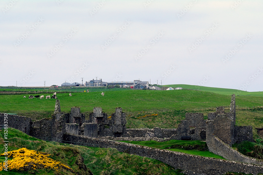 Castle ruins, Dunluce, Northern Ireland