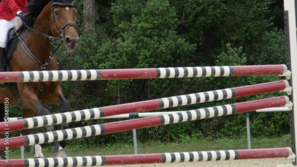 SLOW MOTION CLOSE UP: Beautiful chestnut horse jumping bravely over vertical fence during the show jumping competition in outdoor riding arena. Unrecognizable rider wearing formal red and white attire SLOW MOTION CLOSE UP: Beautiful chestnut horse jumping bravely over vertical fence during the show jumping competition in outdoor riding arena. Unrecognizable rider wearing formal red and white attire