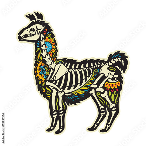 Fototapeta Naklejka Na Ścianę i Meble -  Cartoon alpaca llama mexican sugar skull. Vector illustration