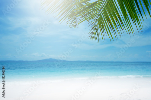 Fototapeta Naklejka Na Ścianę i Meble -  Blurred beach background with palm tree.