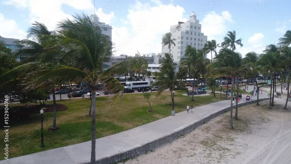 South Miami Beach Palm Tree Ocean Drive Travel Destination South Miami Beach Palm Tree Ocean Drive Travel Destination