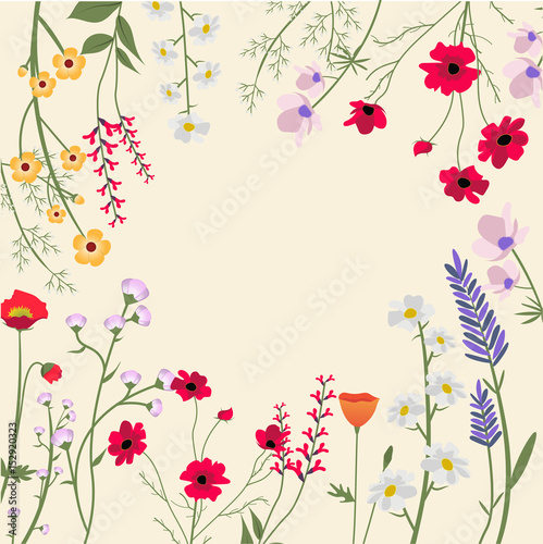 Variety of Wild Flowers Vector Illustration