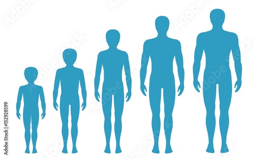 Man's body proportions changing with age. Boy's body growth stages. Vector illustration. Aging concept. Illustration with different man's age from baby to adult. European men flat style.