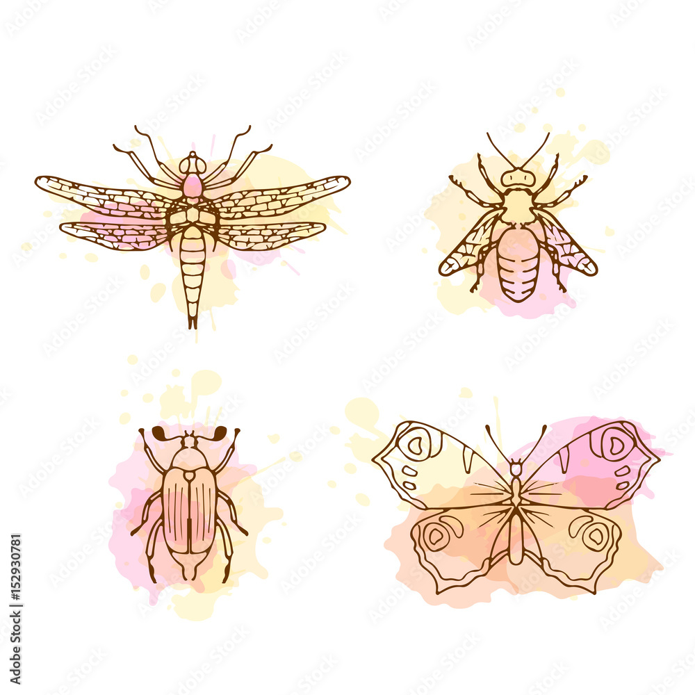 Obraz premium Insects line art set on white background