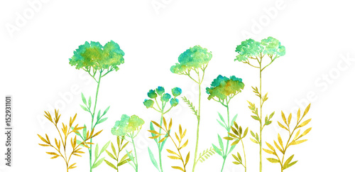 hand drawn color floral background