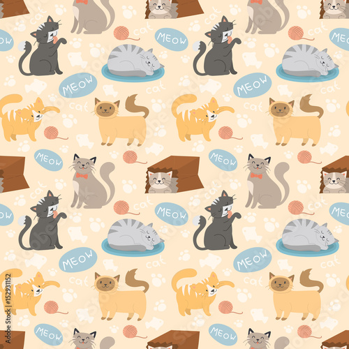 Cute cats character different pose vector seamless pattern