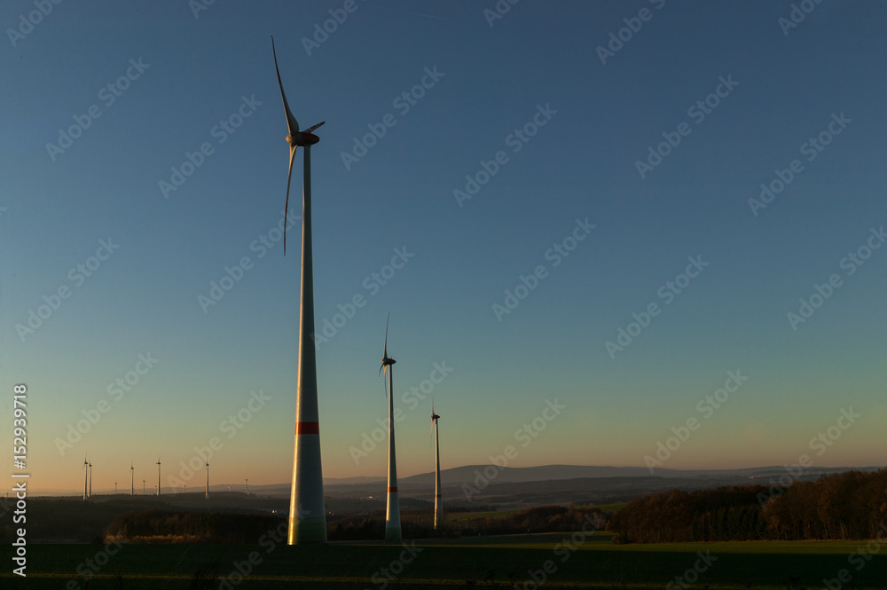 Obraz premium Windräder im Abendlicht