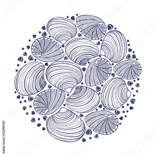 vector round hand drawn colored shell composition