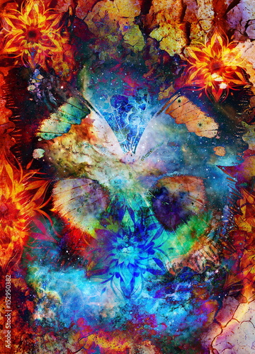 Filigrane floral ornament and Butterfly. cosmic backgrond  computer collage.