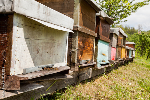 Hives in the apiary © mitarart