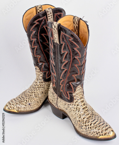 Snake Cowboy Boots
