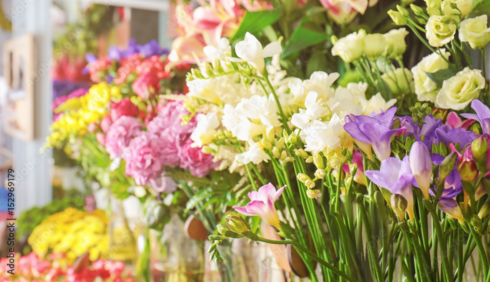 Colorful flowers in shop