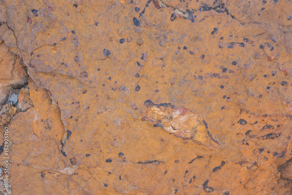 Obraz premium Cement floor in garden