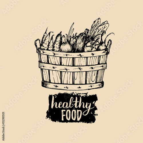 Vector healthy food logo. Farm eco products illustration. Hand sketched basket with greens. Rural harvest poster.