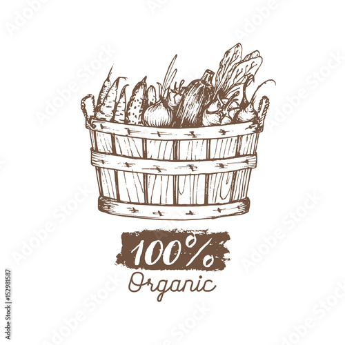 Vector organic vegetables logo. Farm eco products illustration. Hand sketched basket with greens. Rural harvest poster.