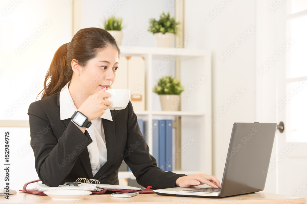 employee working on the office with sunshine employee working on the office with sunshine