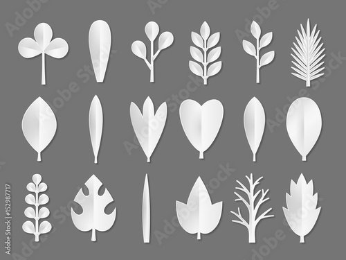 Set of white Paper Flower and tree leaves isolated on gray background. Vector eps 10 format. © teirin