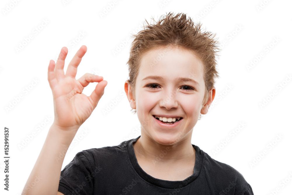 Beauty smiling young teenager boy gesturing OK or success sign Beauty smiling young teenager boy gesturing OK or success sign