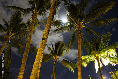 Balinese Nights © Sven