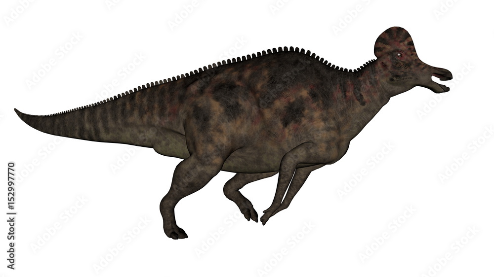 Corythosaurus dinosaur - 3D render Corythosaurus dinosaur - 3D render