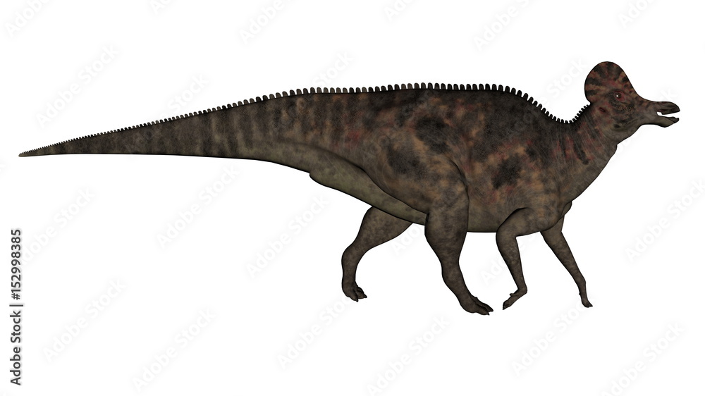 Corythosaurus dinosaur - 3D render Corythosaurus dinosaur - 3D render