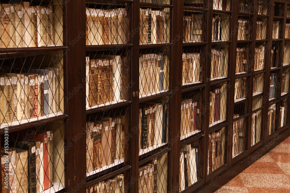 Libros en vitrinas de madera en biblioteca.
