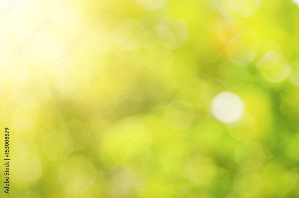 Natural outdoors bokeh background in green and yellow tones with sun rays