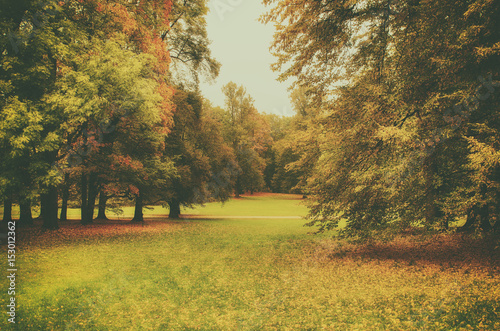 Autumn park with orange trees and meadow   natural seasonal hipster background