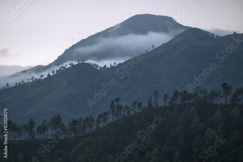 Three layers of mountains in the mist  Ella  Sri Lanka