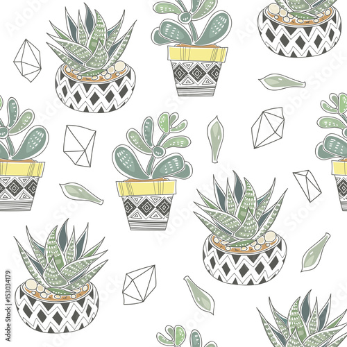 Vector seamless pattern with different succulents in a pots and glass terrariums. Trendy tropical design for textile photo