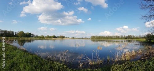 Jezioro. Panorama