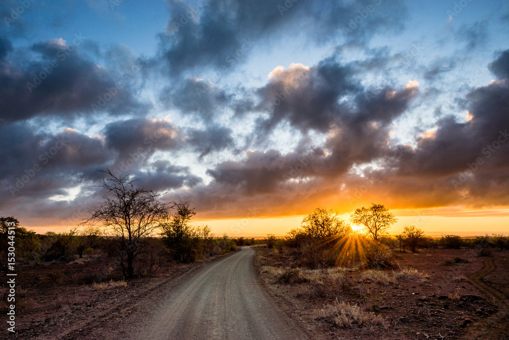 Staubige Piste während Sonnenaufgang im Krüger Nationalpark
