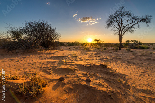Sonnenuntergangs-Stimmung in der Kalahari photo