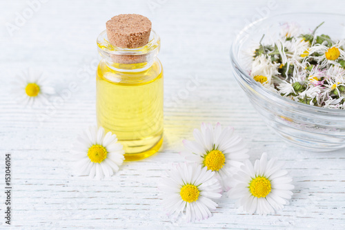 a bottle of chamomile oil with fresh and dried chamomile flowers
