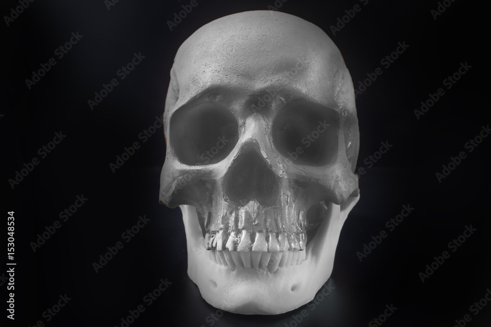 Fototapeta premium Skull in black background image close up