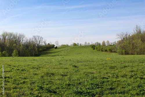 The green grass field landscape .