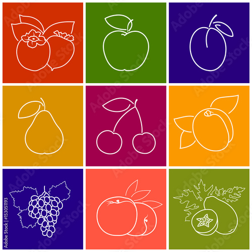 Linear Fruit Berry Icons Peach,Persimmon, Papaya and Grapes, Apricot with Apple, Cherry, Plum and Pear on Colored Background, Thin Line Style Design, Vector Illustration