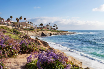Keuken achterwand Kust Rotsachtige kust van La Jolla  © Irina Sen