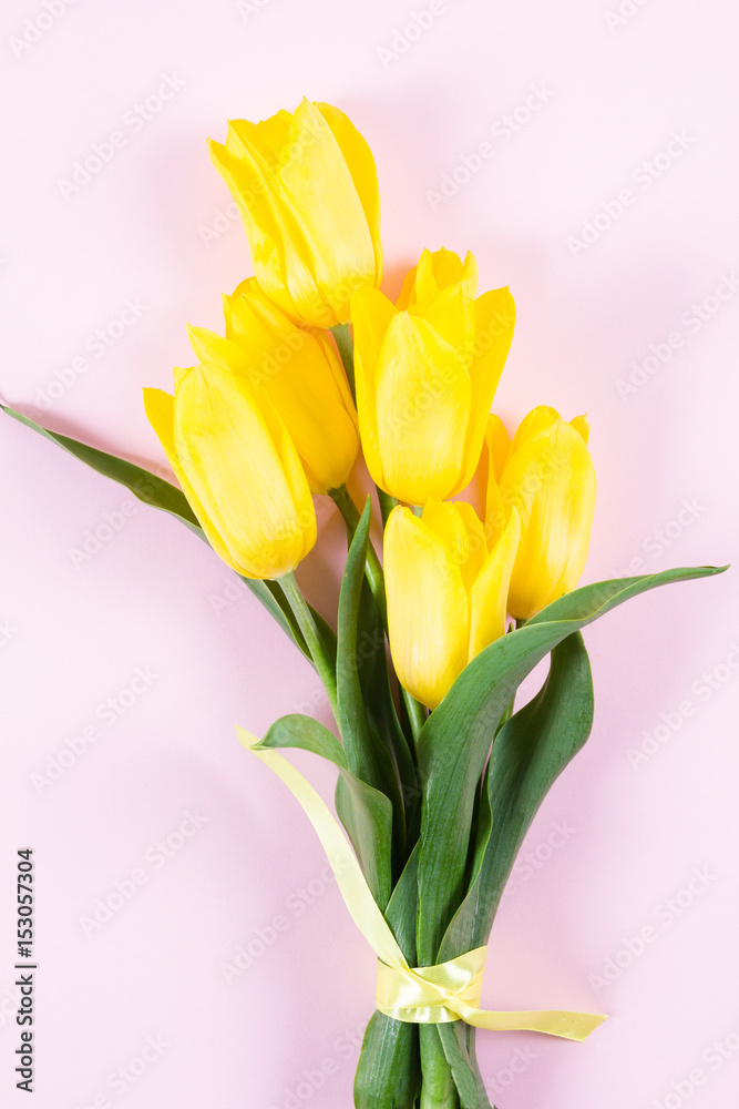 Bouquet of beautiful fresh yellow tulips on pink background Bouquet of beautiful fresh yellow tulips on pink background