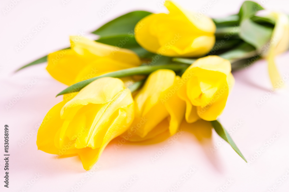Obraz premium Bouquet of beautiful fresh yellow tulips on pink background