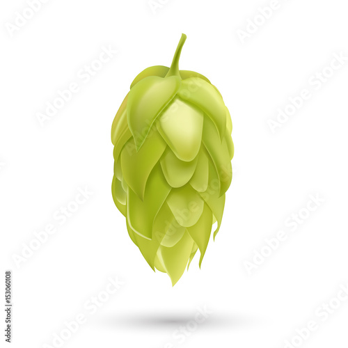 Hop plant 3d vector icon isolated on white background. Hops beer vector illustration.