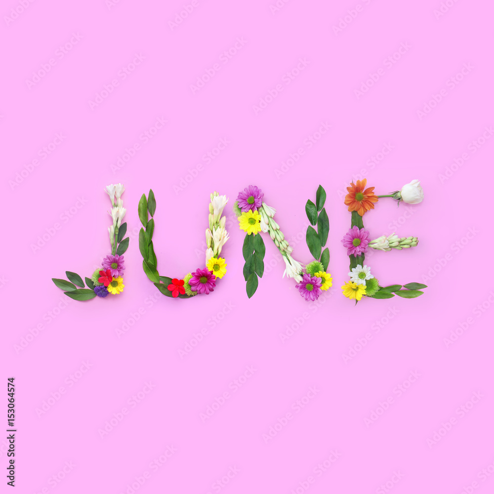 June. Floral collage on pink background