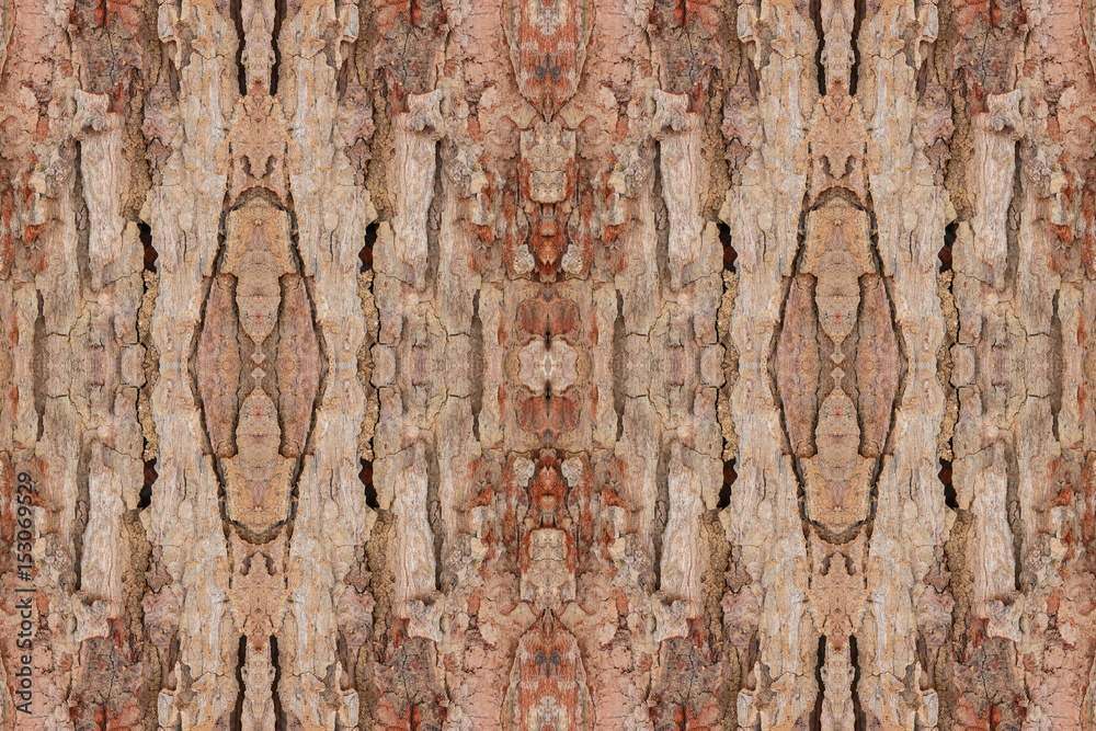 tree bark texture pattern. wood rind for background tree bark texture pattern. wood rind for background