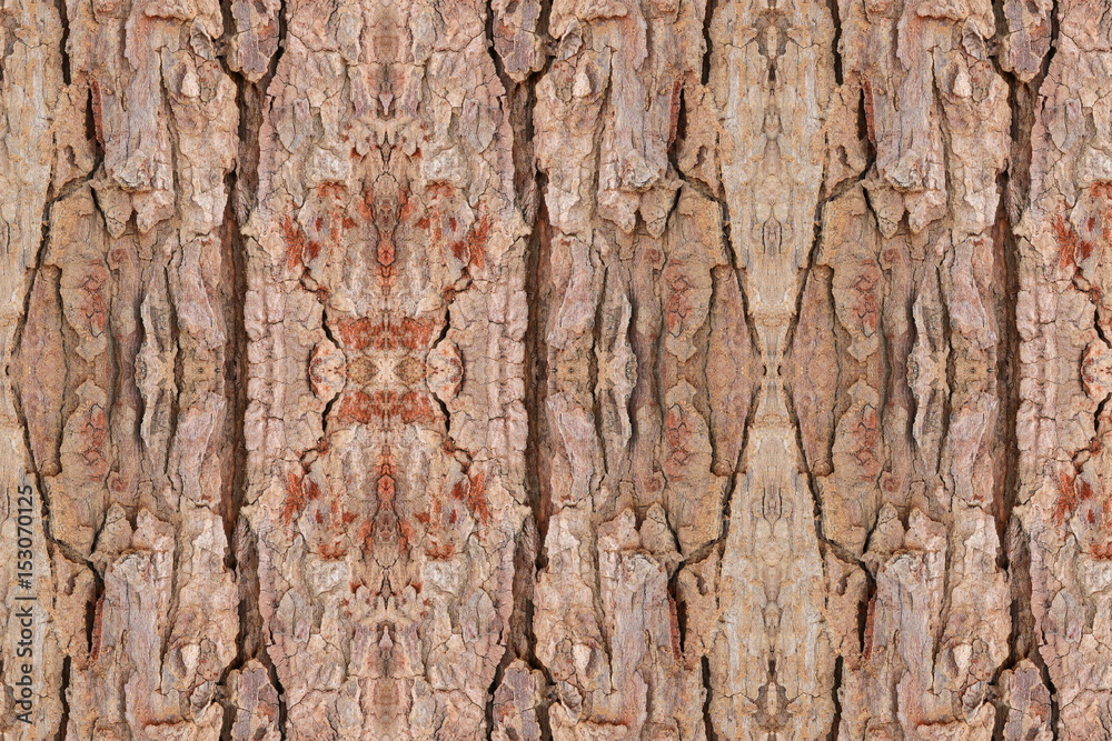 tree bark texture pattern. wood rind for background tree bark texture pattern. wood rind for background