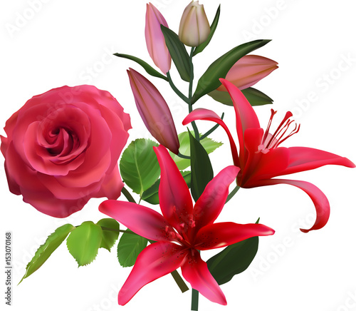 isolated on white rose and two dark pink lilies in green leaves