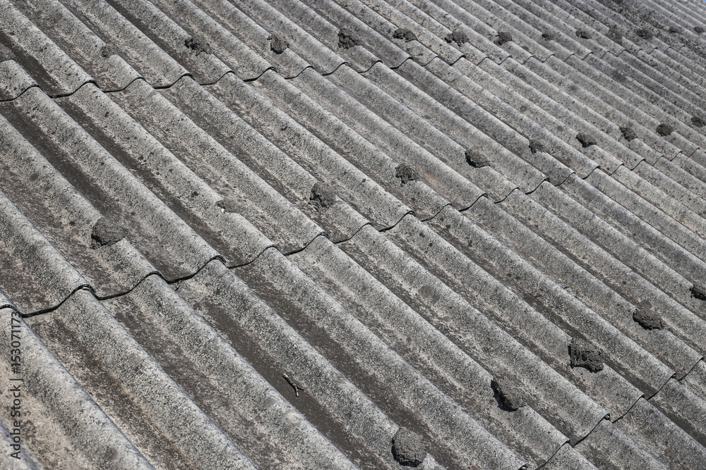 Roof texture Roof texture