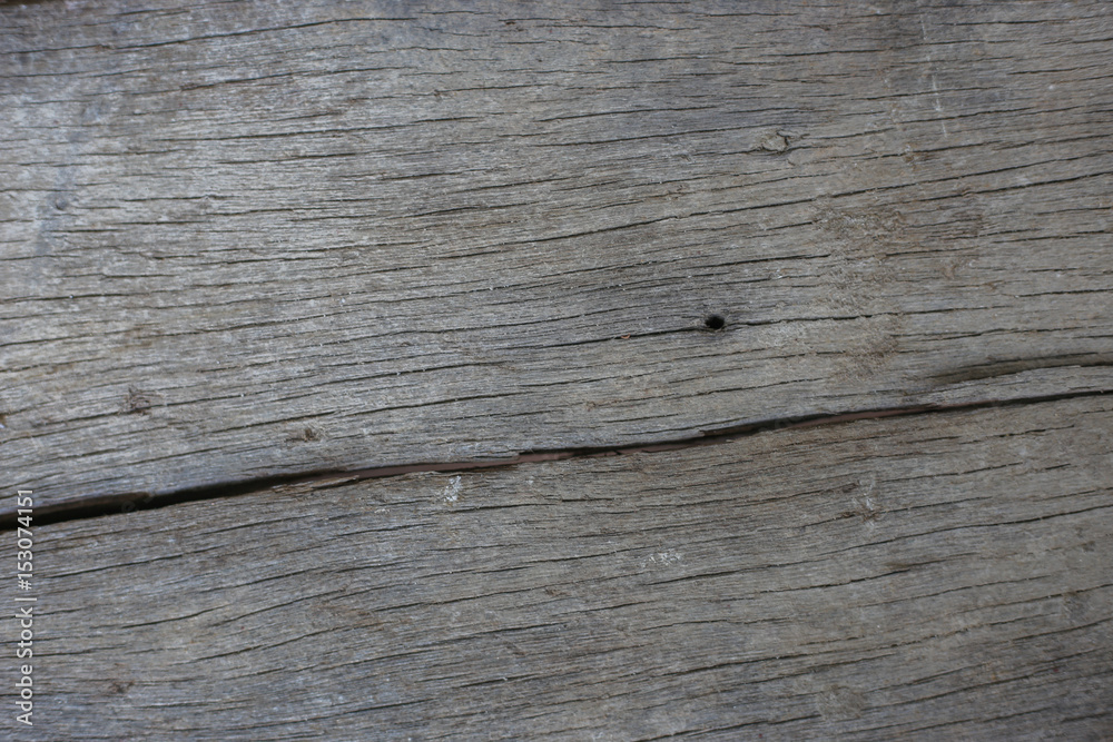 wood texture wood texture
