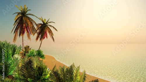 Tropical palm beach  sunset over the sea shore  3d rendering    