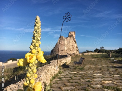 Torre Nasparo landscape photo